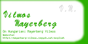 vilmos mayerberg business card